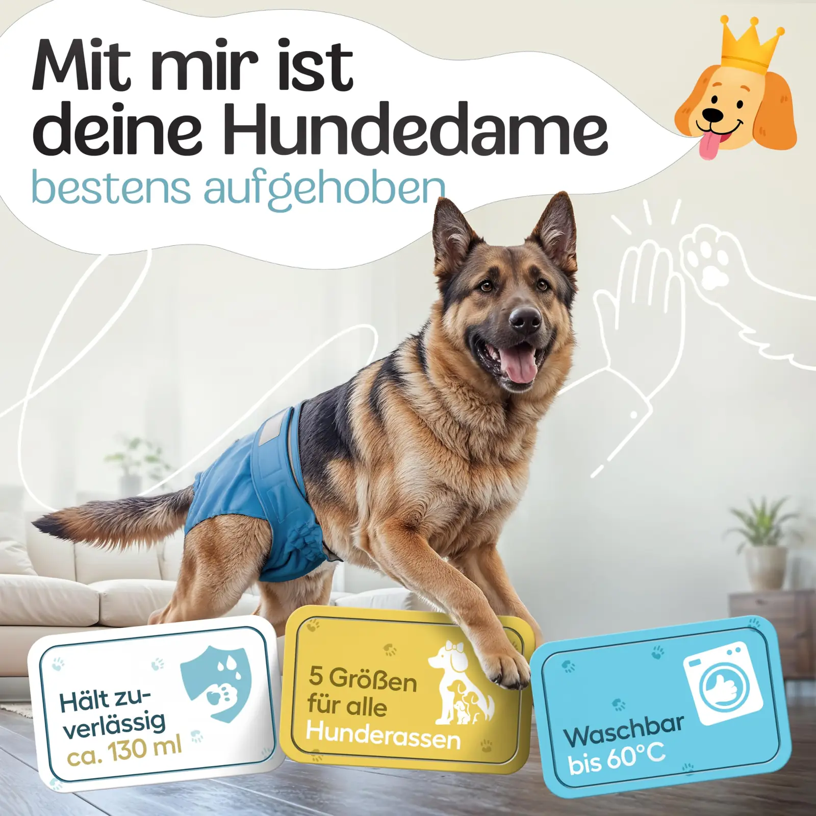 L-suuruse hundapüksikud koos komplektina (3 tk)