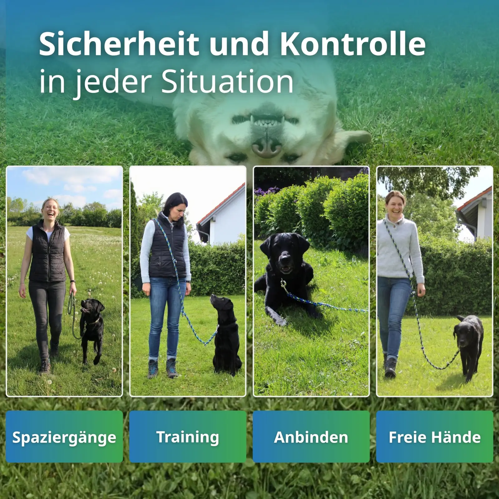 Activity4Dogs 19-S5CM-ICQ8-FBA valjundid tagantvaade