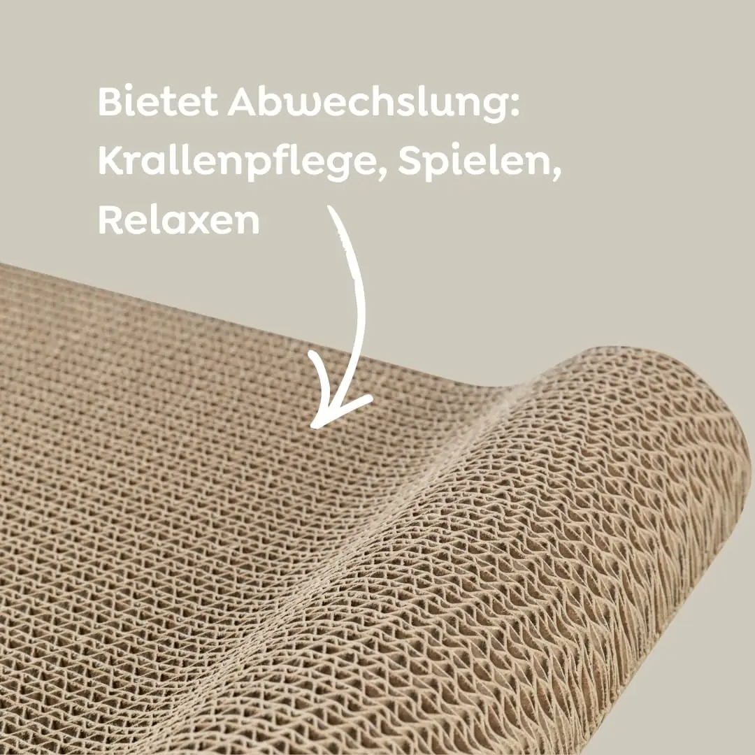 Kraapimismatt koos kassimindiga külgvaates