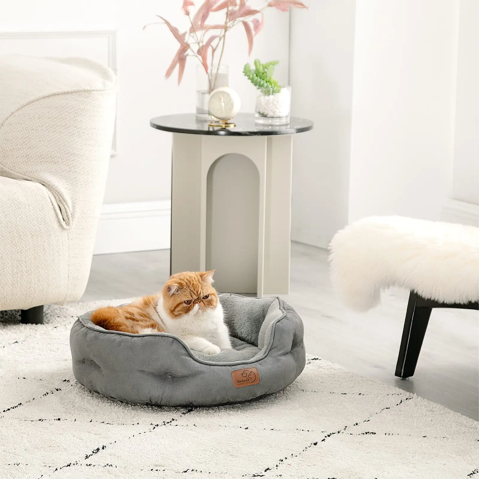 BEDSURE B0P1E lemmikloomad detailne lähivaade 7