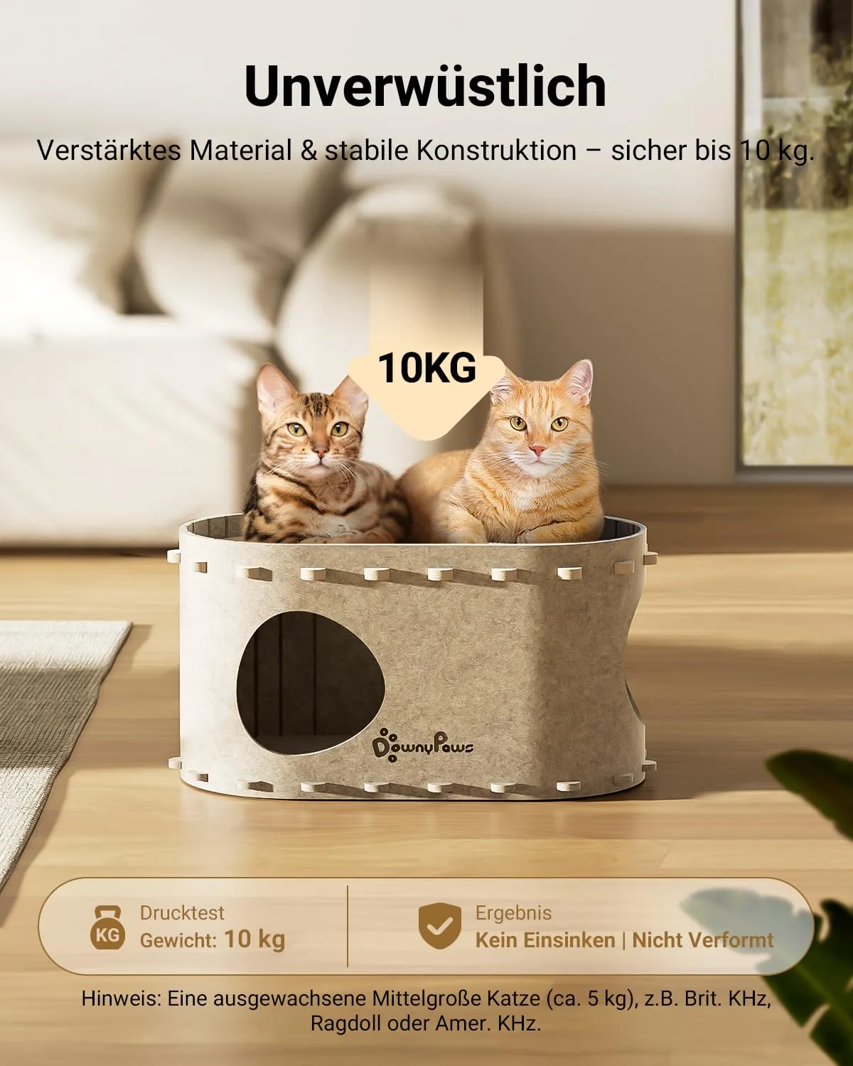 Kaks kassi kassimaja ülemisel korrusel, kandevõime 10 kg