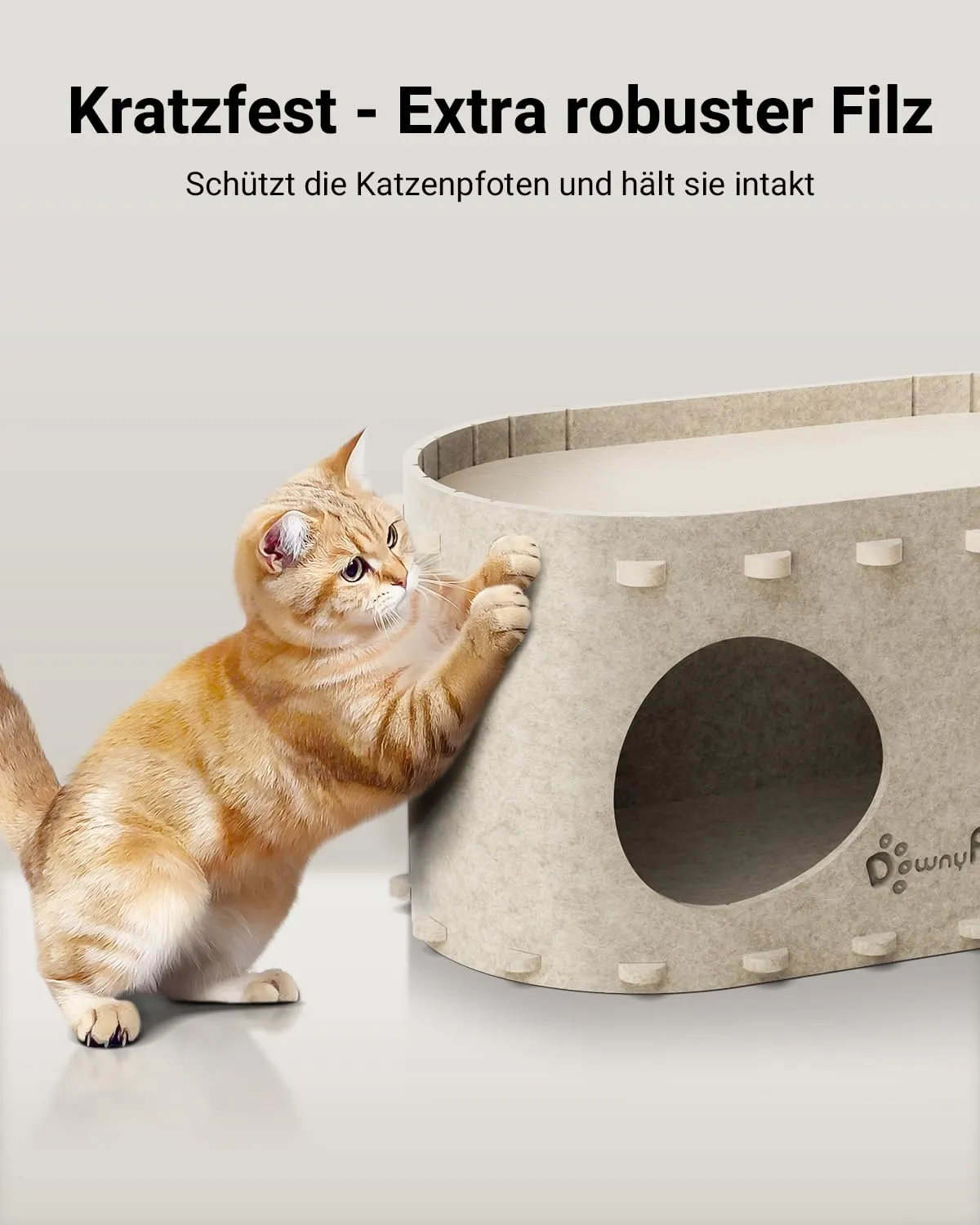 Kass kraabib vildist kassimaja kulumiskindlat külge