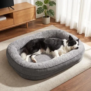 border collie lebab Pawk hallis ovaalses koeravoodis
