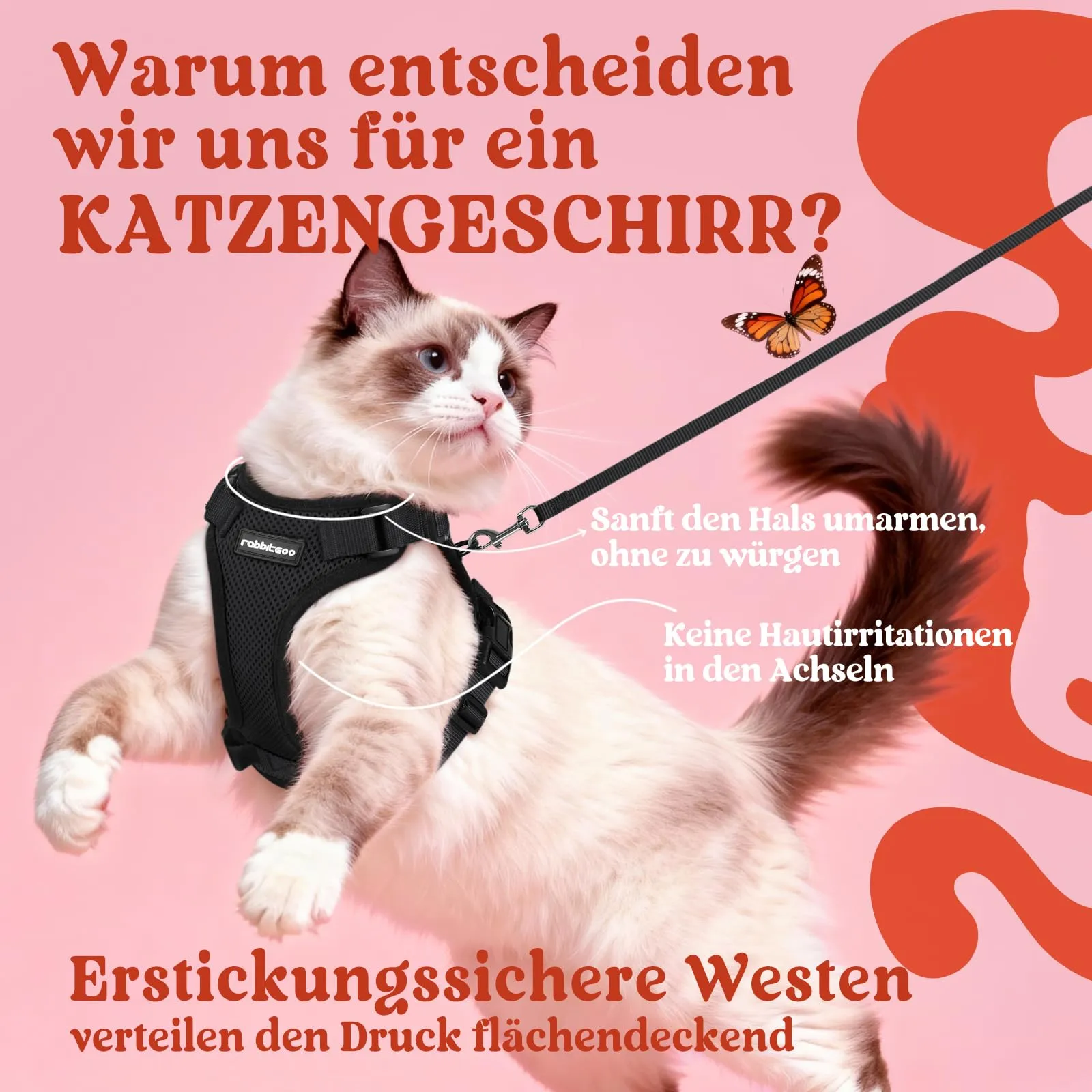 ragdoll-kass vesti-tüüpi traksides, surve jaotub rinnale