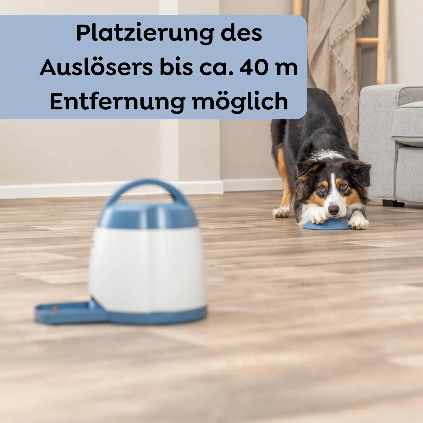 Koer ootab nupu juures, automaat seisab eemal toa teises otsas