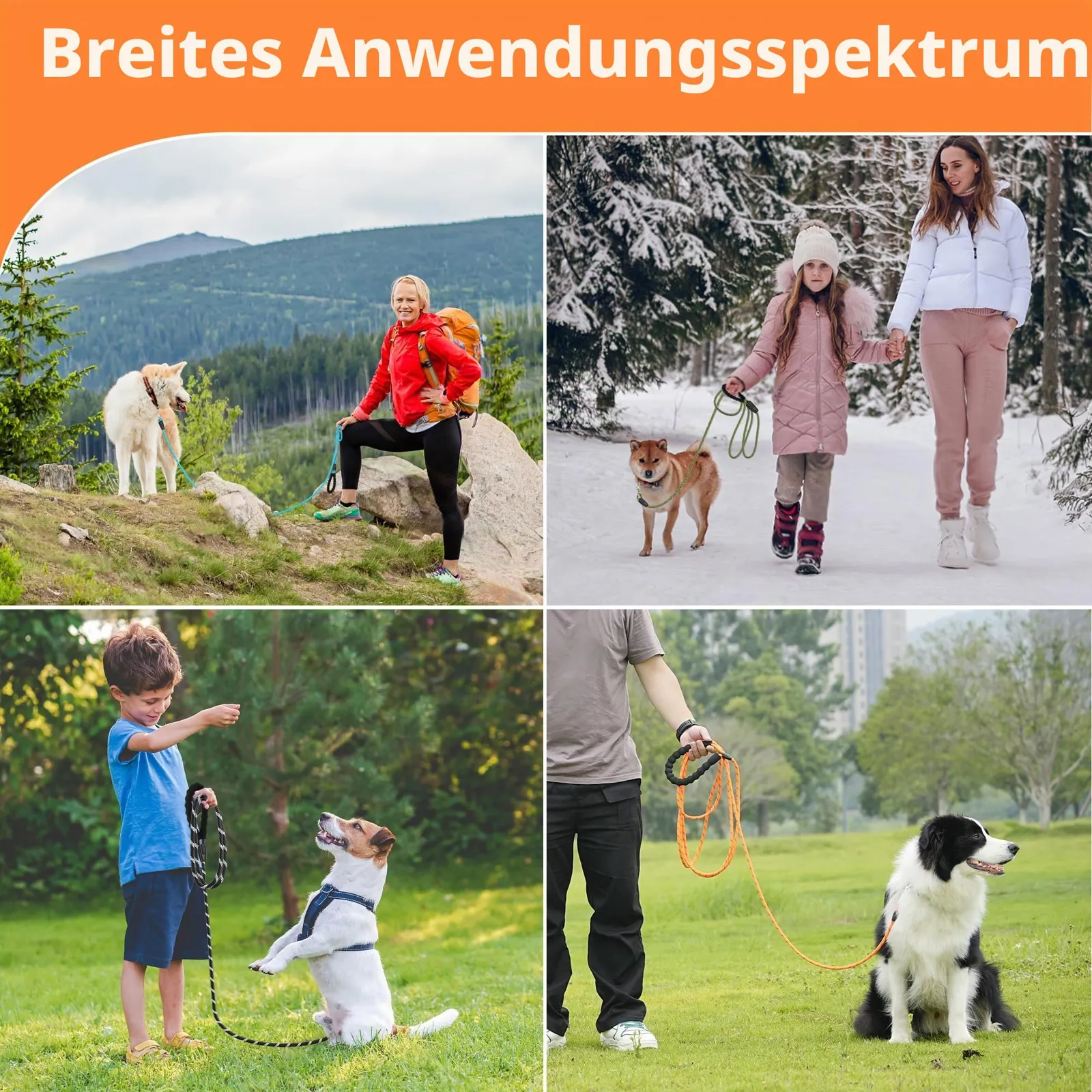 Koerad pika rihmaga matkal, talvel ja pargis treenimas