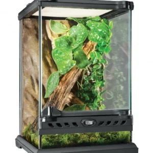 Exo Terra nano klaasterraarium taimedega
