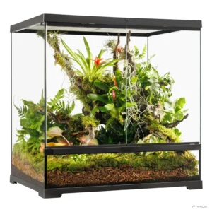 Exo Terra Pro klaasterraarium 60 × 45 × 60 cm taimedega