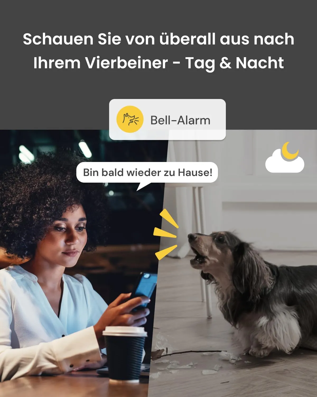 Furbo teavitus telefonis, koer kodus