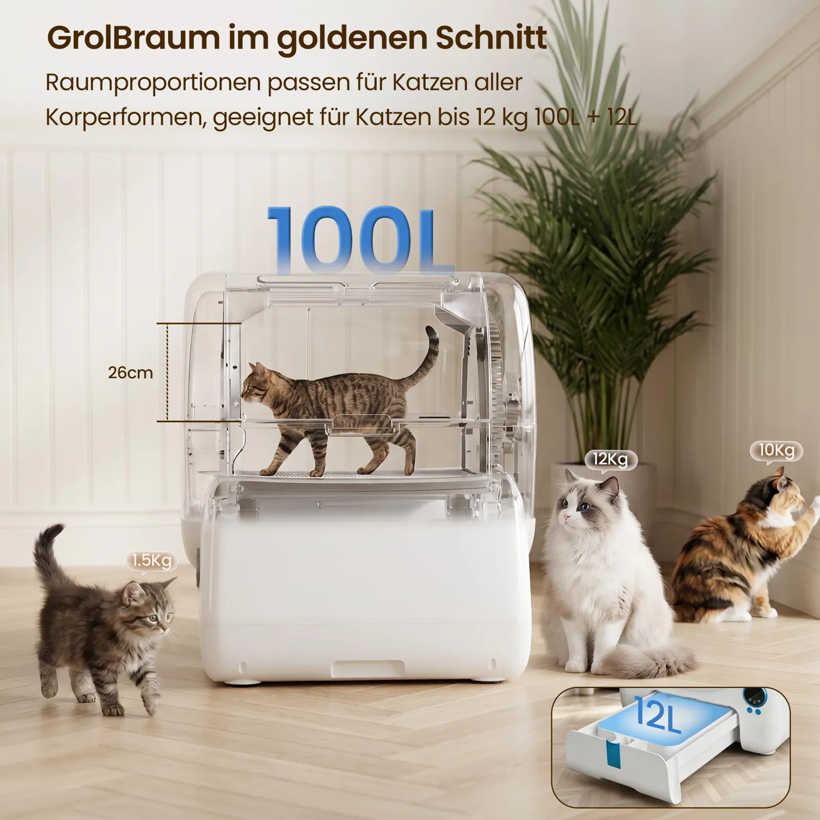 JUMMICO XXXL liivakasti 100-liitrine siseruum suurele kassile
