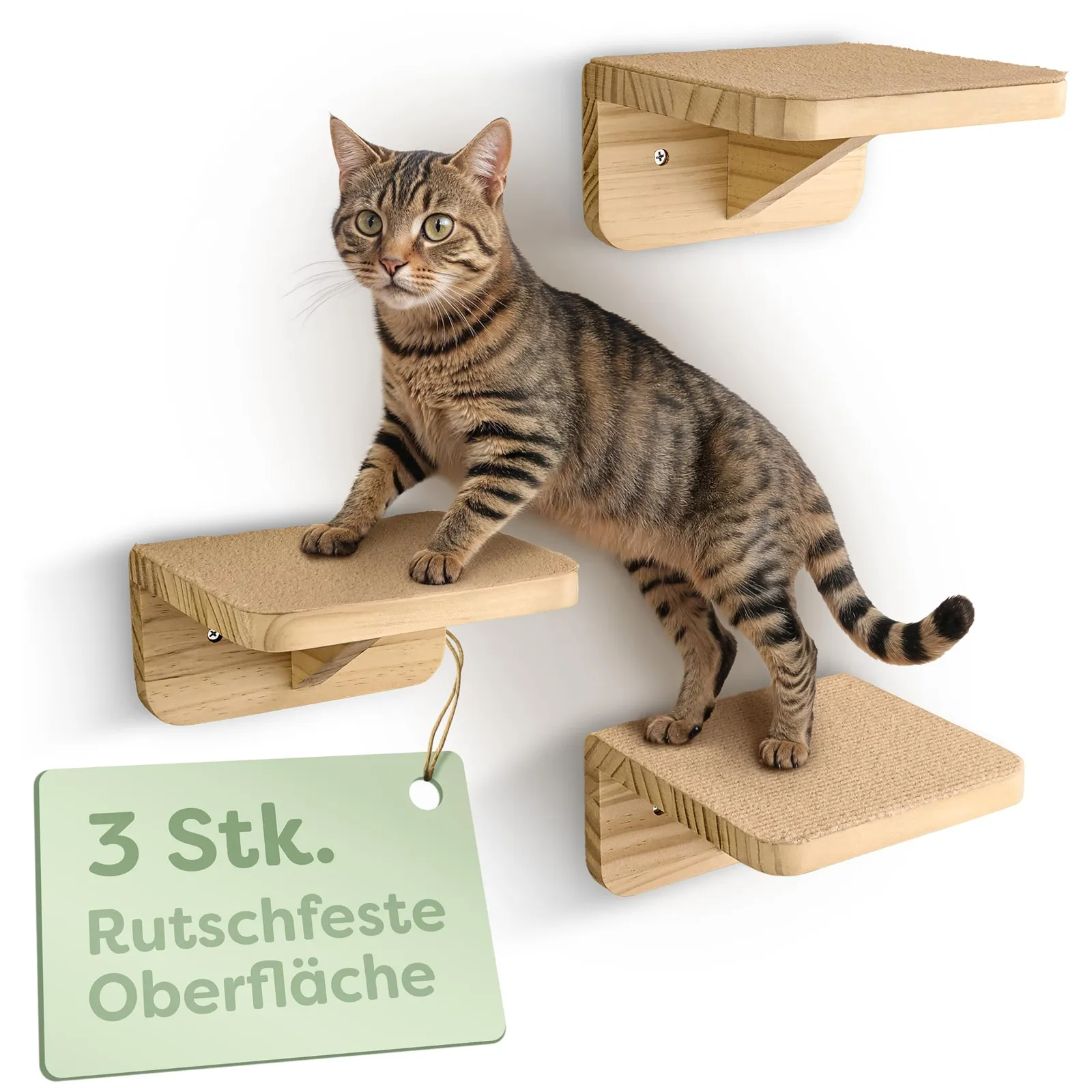 Triibuline kass astub seinale kinnitatud puidust astmele