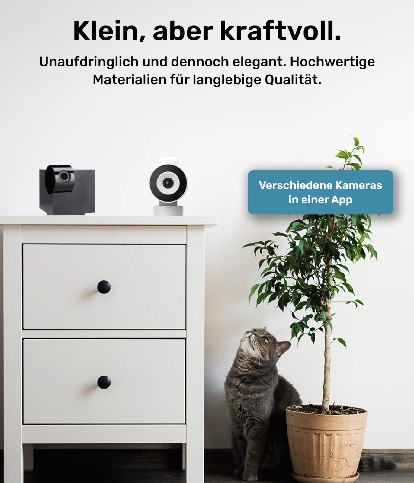 PetTec lemmiklooma kaamera kummutil, kass vaatab