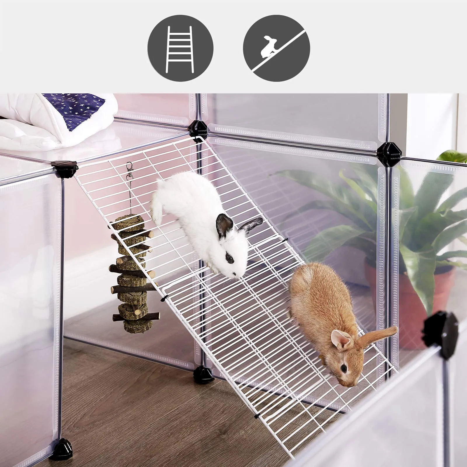 küülikud metallvõrgust trepil
